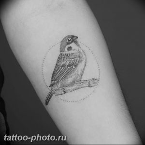рисунка тату воробей 03.12.2018 №106 - photo tattoo sparrow - tattoo-photo.ru